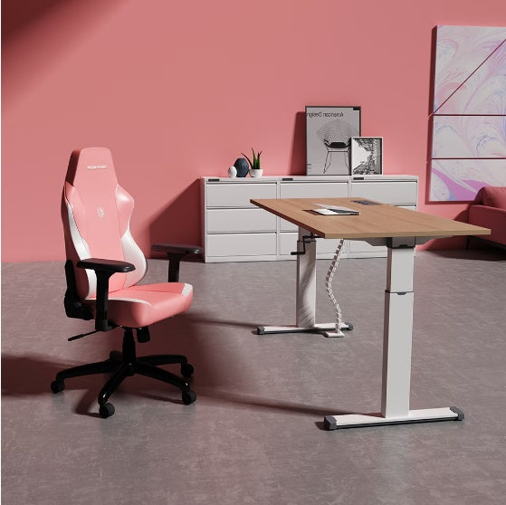 Pro Ergonomic Gaming Chair
