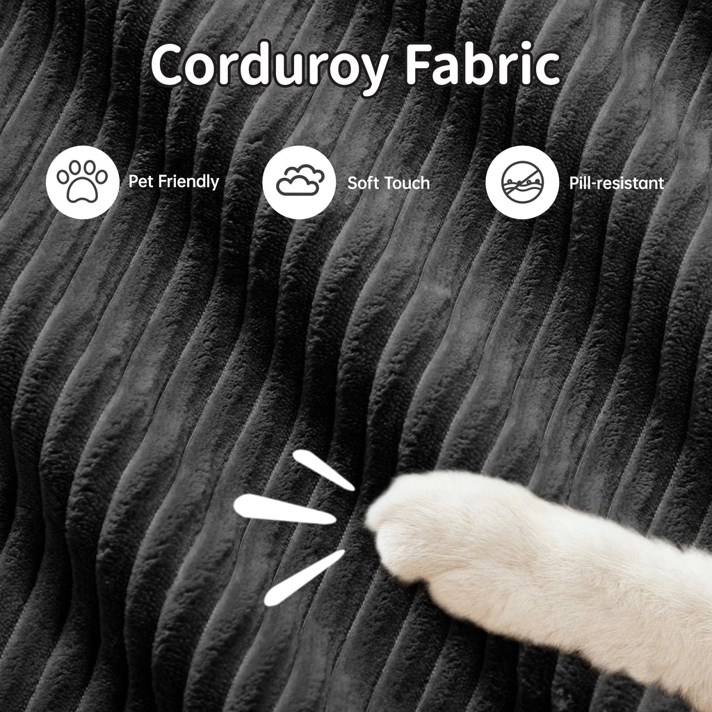 Modern modular lounge sofa with plush cushions and pet-friendly fabric